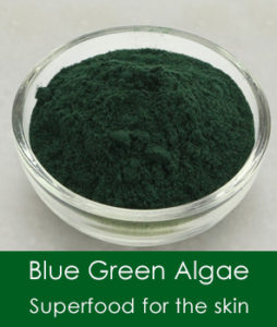 blue green algae for the skin