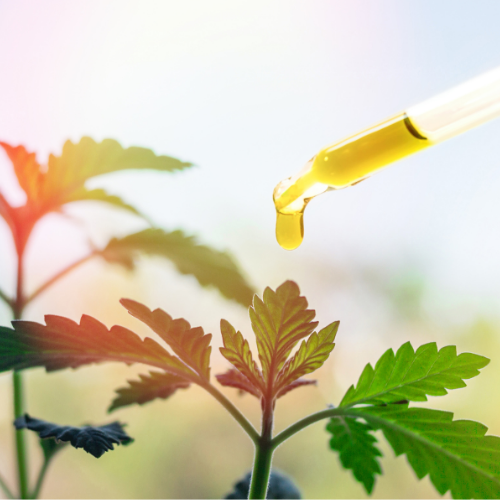 professional CBD for estheticians and private label