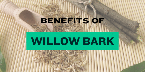 Benefits of willow bark extract / Alternative to salicylic acid